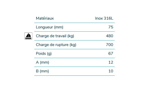 Laden Sie das Bild in Galerie -Viewer, Mousqueton Rapide Wichard en inox 316L, design moderne, idéal pour usages nautiques avec excellentes charges de travail et de rupture, parfait pour voile légère.